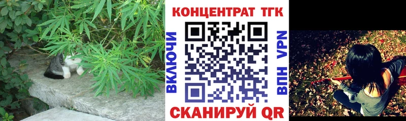МЕГА сайт  Кизилюрт  мориарти какой сайт  Дистиллят ТГК гашишное масло 