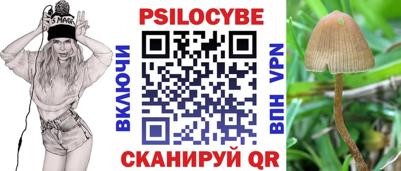 OMG как зайти  Кизилюрт  Псилоцибиновые грибы Cubensis 