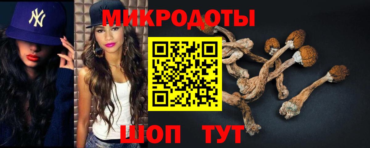 Кизилюрт  Галлюциногенные грибы прущие грибы  Вход с VPN  Псилоцибиновые грибы Psilocybine cubensis 