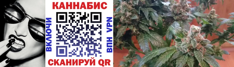 где можно купить   Кизилюрт  МАРИХУАНА тримм 